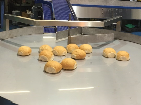 Bakery Conveyor Handling Bread Rolls