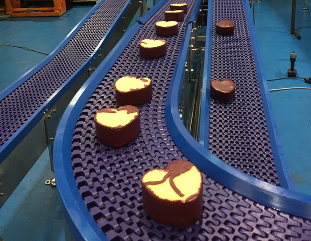 Cheese Conveyors