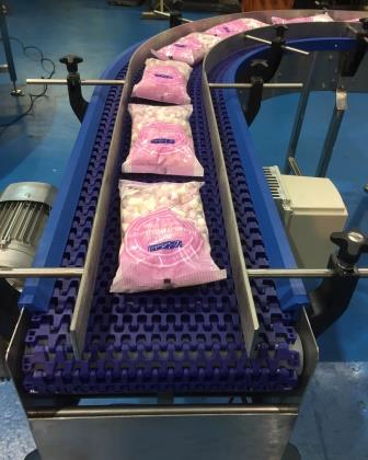 Confectionery Conveyor