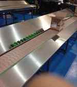 Stainless Steel Conveyor