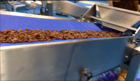 Trough Conveyor