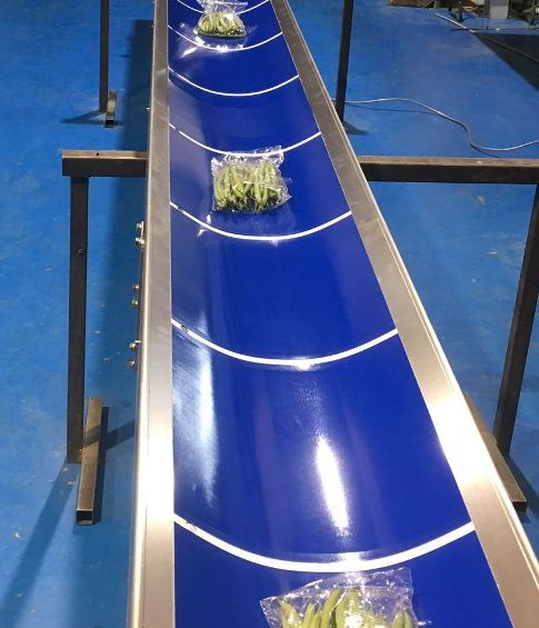 Trough Conveyor with lines for spacing