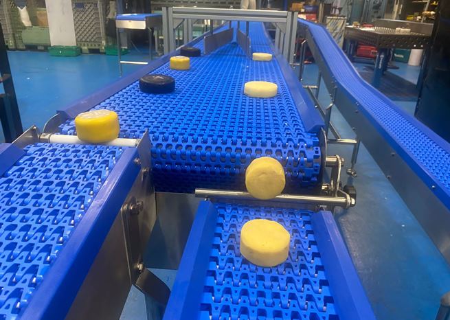 Cheese Turner Conveyor